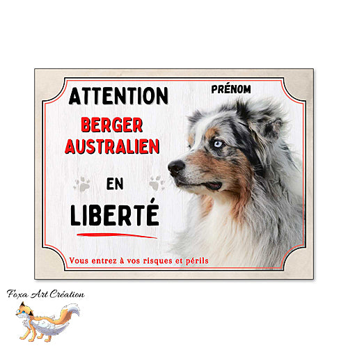 Plaque chien Attention Berger Australien en liberté panneau