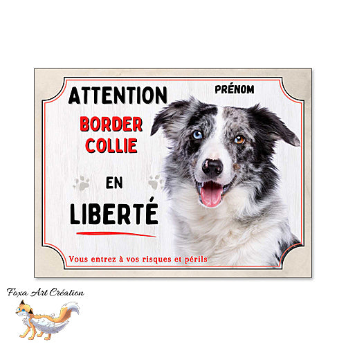 Plaque chien Attention Border Collie en liberté (bleu merle) panneau