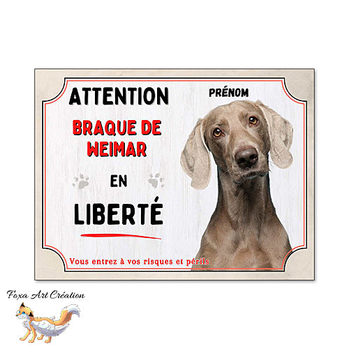 Plaque Attention Braque de Weimar en liberté panneau chien