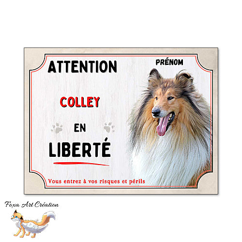 Plaque Attention Colley (fauve) en liberté panneau chien