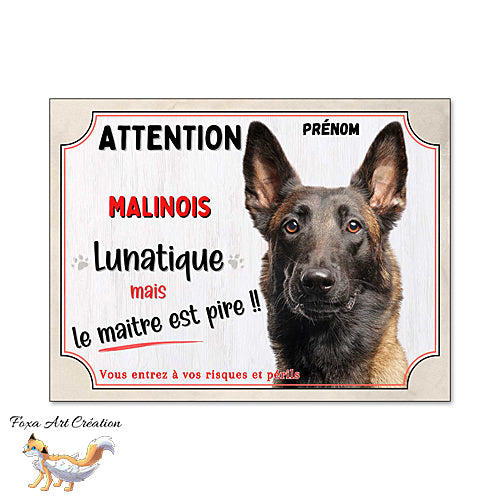 Plaque humour Attention au Chien Malinois lunatique et maitre encore pire