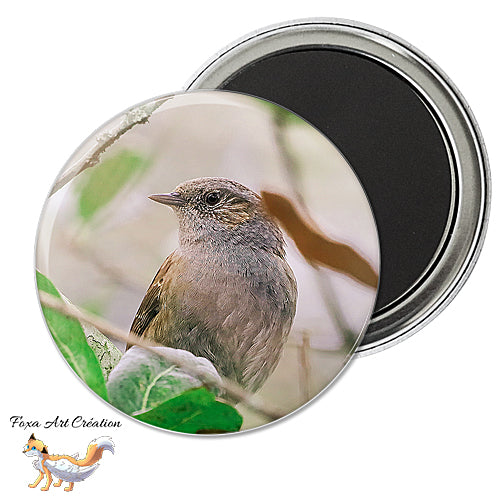 Badge, Magnet pins Accenteur Mouchet, oiseau de jardin, Prunella modularis, modèle 3