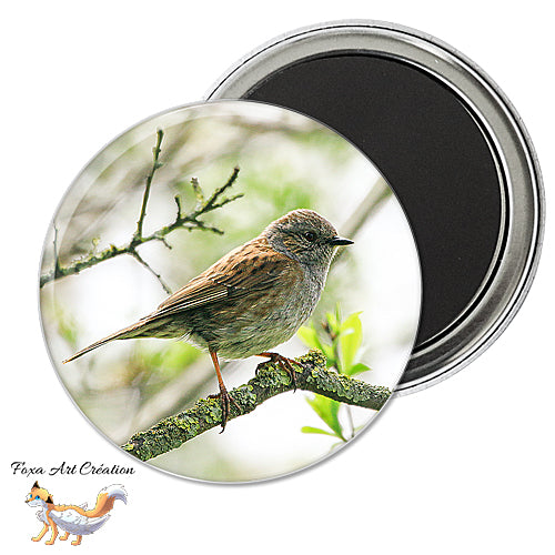 Badge, Magnet pins Accenteur Mouchet, oiseau de jardin, Prunella modularis, modèle 1