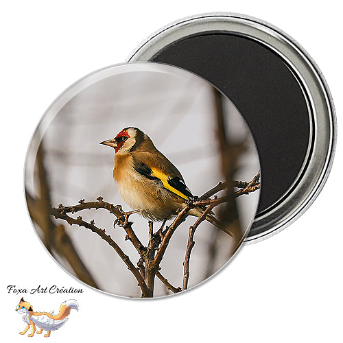 Badge, Magnet pins Chardonneret élégant, oiseau de jardin, Carduelis carduelis, modèle 1