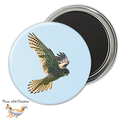 Badge, Magnet pins Faucon Crécerelle, Oiseau Rapace, Falco tinnunculus, modèle 1