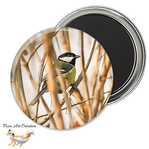 Badge, Magnet pins Mésange Charbonnière, oiseau de jardin, Parus major, modèle 1