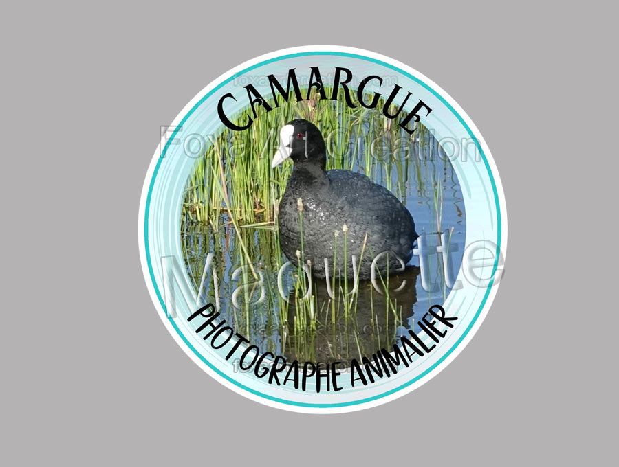 Lot de Stickers personnalisés "Camargue Photographe Animalier", 5x Foulque Macroule et 5x Martin-Pêcheur