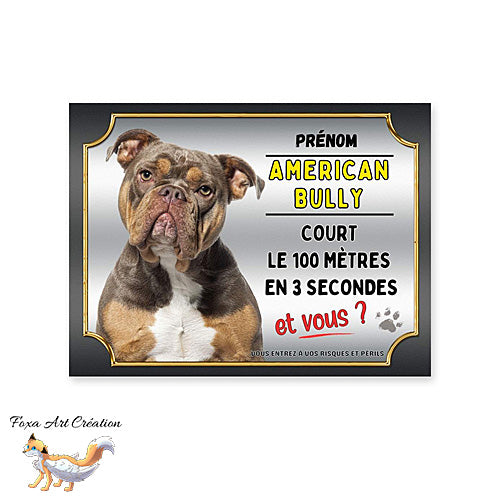 Plaque American Bully cours le 100 mètres en 3 secondes et vous attention au chien