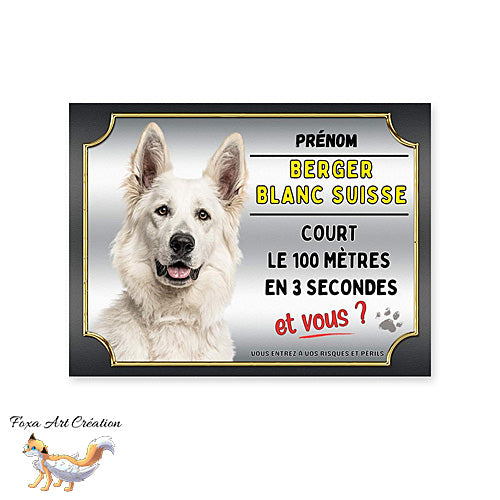 Plaque de portail Berger Blanc Suisse cours le 100 mètres en 3 secondes et vous