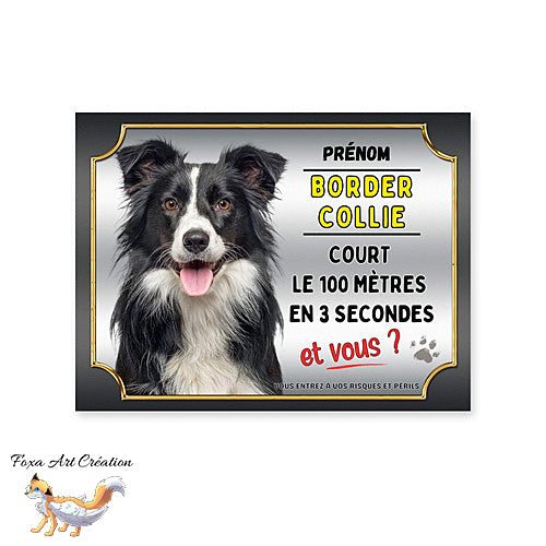 Plaque de portail chien Border Collie cours le 100 mètres en 3 secondes et vous