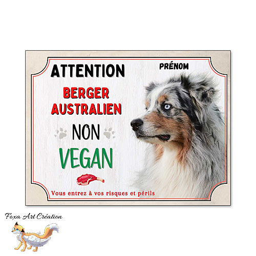 Plaque humour Attention au Chien Berger Australien merle bleu je ne suis pas vegan