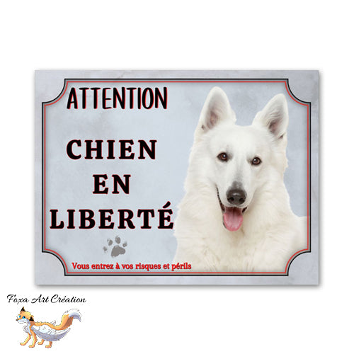 plaque attention au chien berger blanc suisse en liberté
