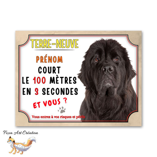 Plaque de portail Terre-Neuve court le 100 mètre en 3 secondes Panneau Attention au chien
