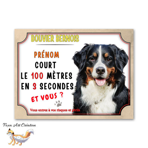 Plaque de portail humour Attention au chien Bouvier bernois je cours le 100 mètres en 3 secondes et vous ?