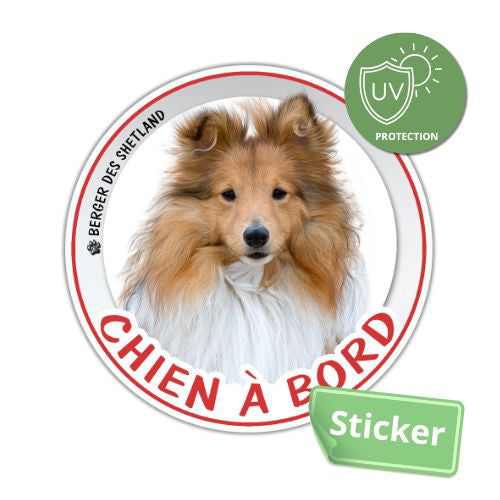 Sticker Chien à bord Berger des Shetland Autocollant Voiture