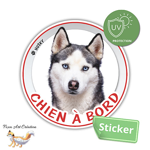 Sticker Chien à bord Husky Autocollant Voiture