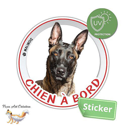 Sticker Chien à bord Berger Belge Malinois Autocollant Voiture