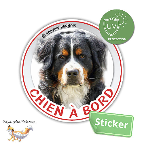 Sticker Chien à bord Bouvier Bernois Autocollant Voiture