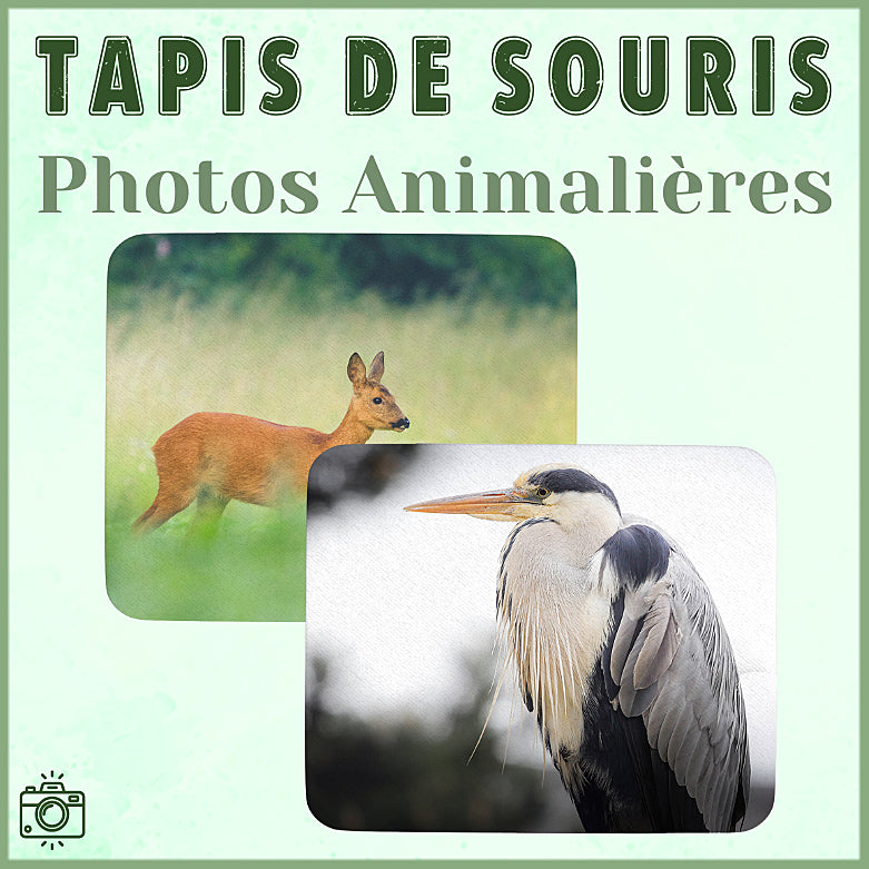 Tapis de Souris Photos Animalières