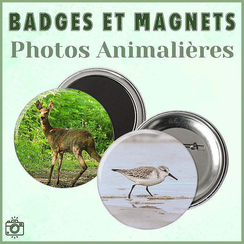 Badges et Magnets Photos Animalières