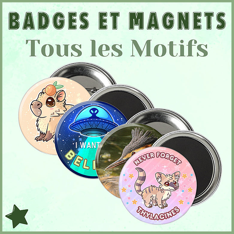 Catalogue Tous les Badges