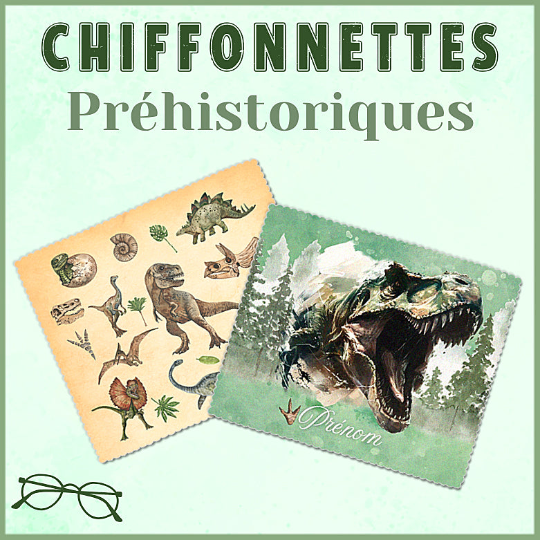 Chiffonnettes Préhistoriques