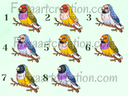 diamant de gould illustration couleurs personnalisables articles boutique artisanale