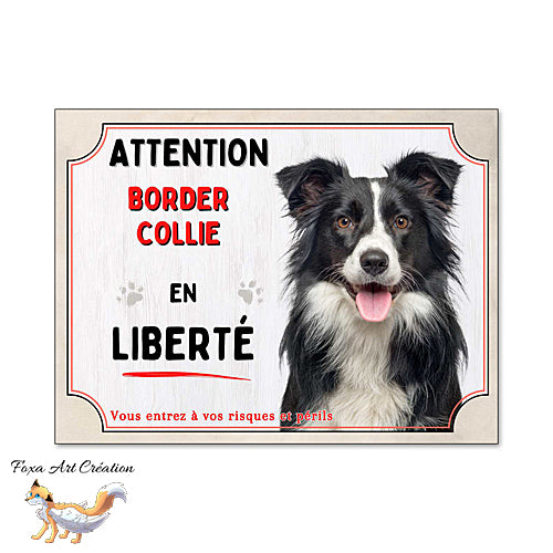 Plaque chien Attention Border Collie en liberté (noir et blanc) panneau