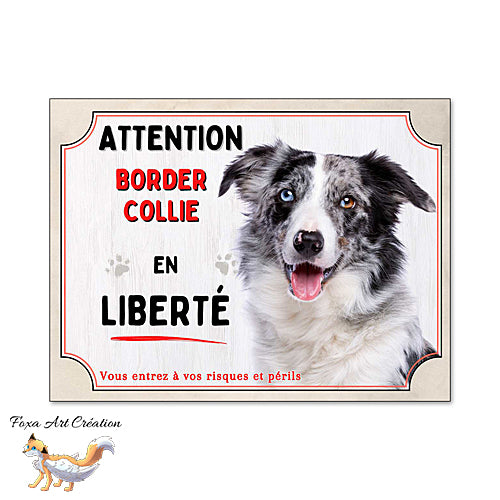 Plaque chien Attention Border Collie en liberté (bleu merle) panneau