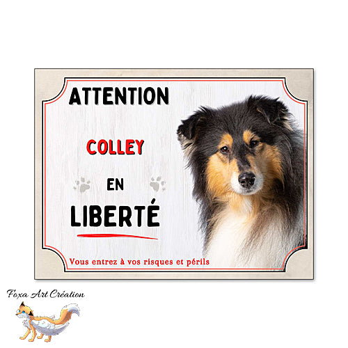 Plaque Attention Colley (tricolore) en liberté panneau chien