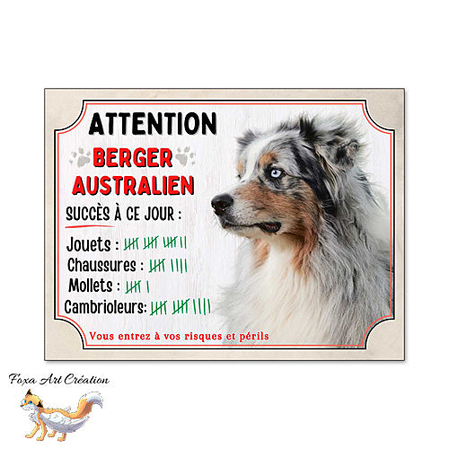 Plaque humour  Attention Chien Berger Australien merle bleu compte ses trophées à ce jour