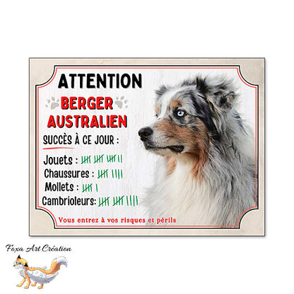 Plaque humour  Attention Chien Berger Australien merle bleu compte ses trophées à ce jour