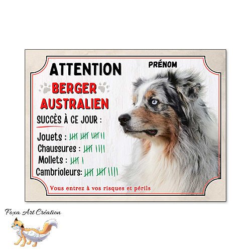Plaque humour  Attention Chien Berger Australien merle bleu compte ses trophées à ce jour