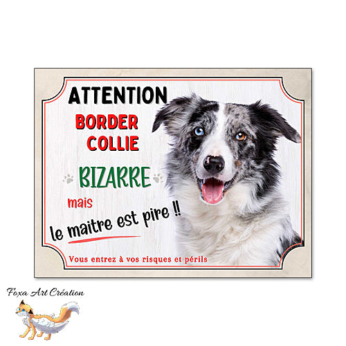Plaque humour chien Attention Border Collie (bleu merle) bizarre panneau