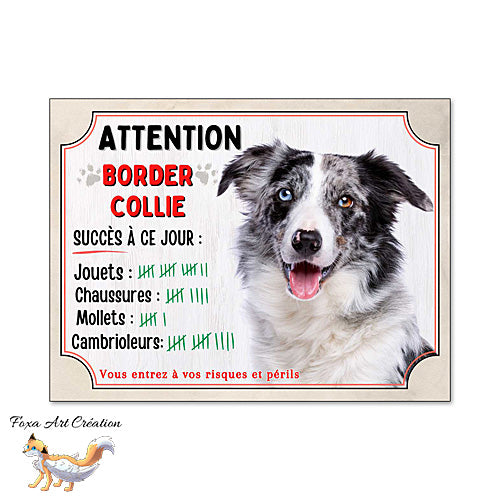 Plaque humour Attention Chien Border Collie merle bleu compte ses trophées à ce jour