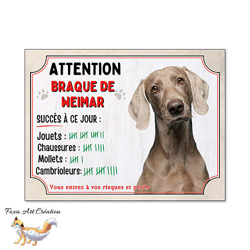 Plaque humour  Attention Chien Braque de Weimar compte ses trophées à ce jour