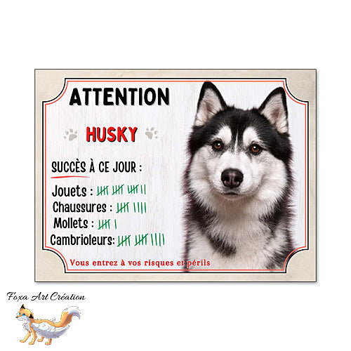 Plaque humour  Attention Chien Husky compte ses trophées à ce jour