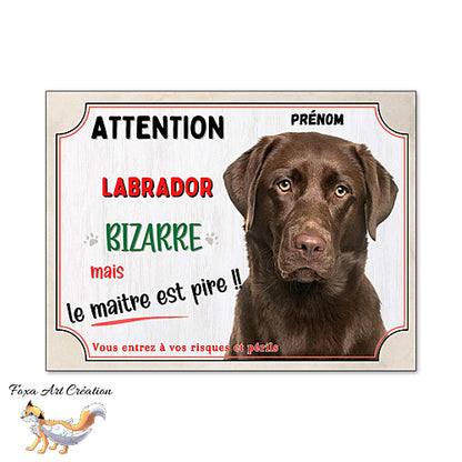 Plaque humour chien Attention Labrador chocolat bizarre panneau