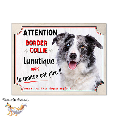Plaque humour Attention au Chien Border Collie merle bleu lunatique et maitre encore pire