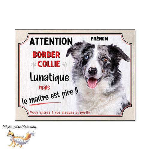 Plaque humour Attention au Chien Border Collie merle bleu lunatique et maitre encore pire