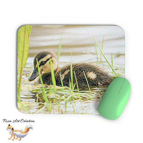Tapis de souris Caneton, Canard Colvert, Oiseau, Photographie nature, Modèle 3 décoration de bureau