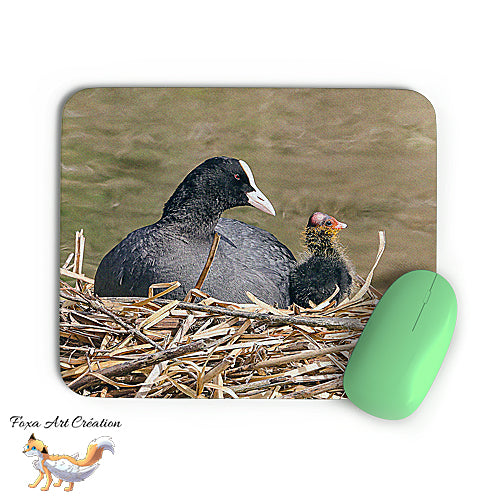 Tapis de souris Foulque Macroule, poussin, oisillon, nid, Oiseaux, Photographie nature, décoration de bureau
