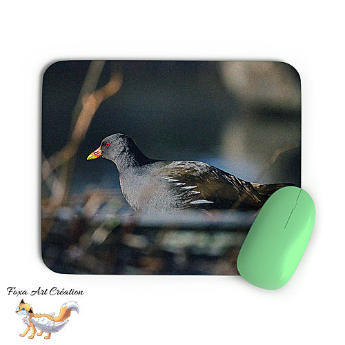 Tapis de souris Gallinule Poule d'Eau, Oiseaux, Photographie nature, Modèle 1, décoration de bureau
