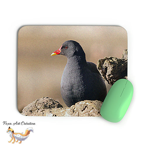 Tapis de souris Gallinule Poule d'Eau, Oiseaux, Photographie nature, Modèle 2, décoration de bureau