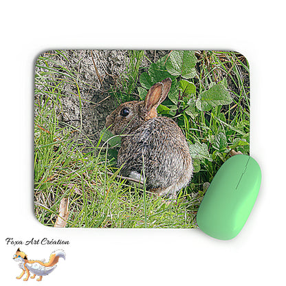 Tapis de souris Lapin de Garenne, Mammifère, Photographie nature, Modèle 1, décoration de bureau