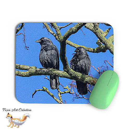 Tapis de souris Couple de Choucas des Tours, Coloeus monedula, Oiseaux, Corvidés, Photographie nature, Modèle 1, décoration de bureau