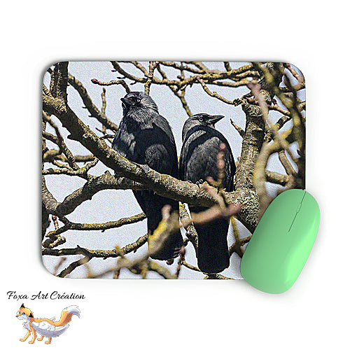 Tapis de souris Couple de Choucas des Tours, Coloeus monedula, Oiseaux, Corvidés, Photographie nature, Modèle 2, décoration de bureau