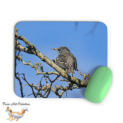 Tapis de souris Etourneau Sansonnet, Sturnus vulgaris, Oiseaux des Jardins, Photographie nature, Modèle 1, décoration de bureau
