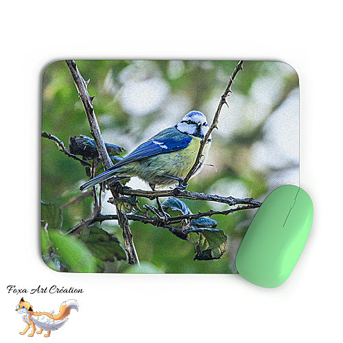 Tapis de souris Mésange Bleue, Cyanistes caeruleus, Oiseaux des Jardins, Photographie nature, Modèle 1, décoration de bureau