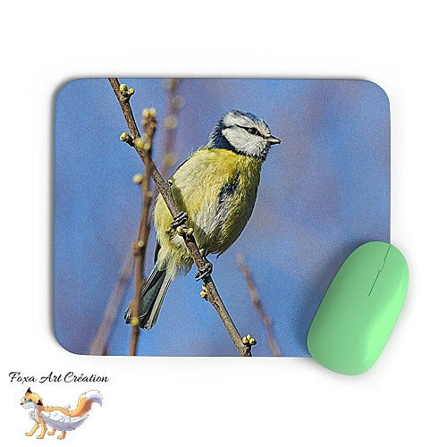Tapis de souris Mésange Bleue, Cyanistes caeruleus, Oiseaux des Jardins, Photographie nature, Modèle 4, décoration de bureau